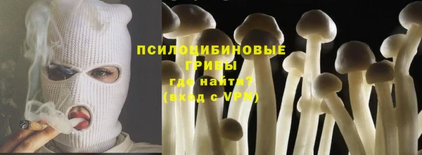2c-b Верхний Тагил
