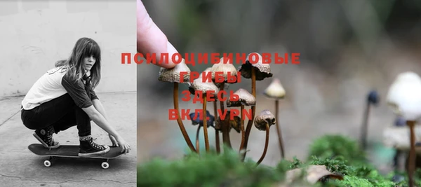 трава Верхнеуральск