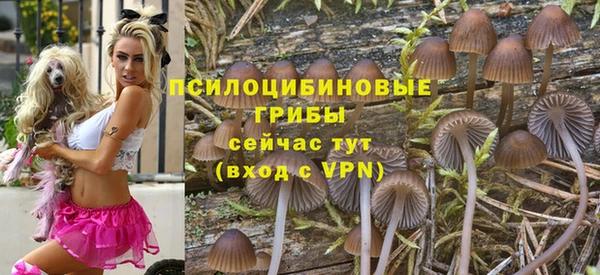2c-b Верхний Тагил