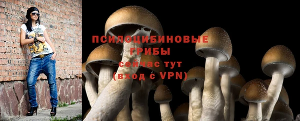 2c-b Верхний Тагил
