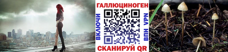 Галлюциногенные грибы мицелий  цены наркотик  Кимры 