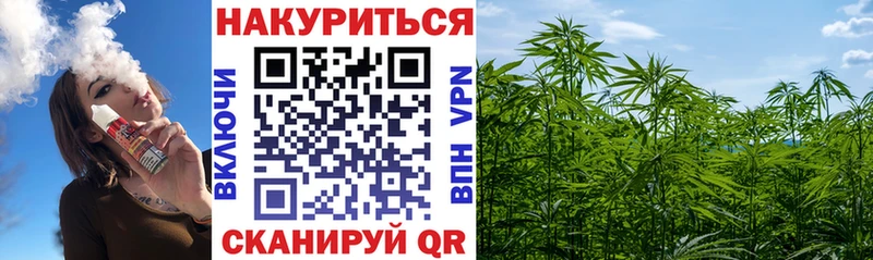 Марихуана план  Кимры 
